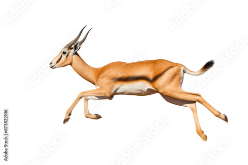 Gazelle Sprinting Through Lush Grasslands -on transparent background