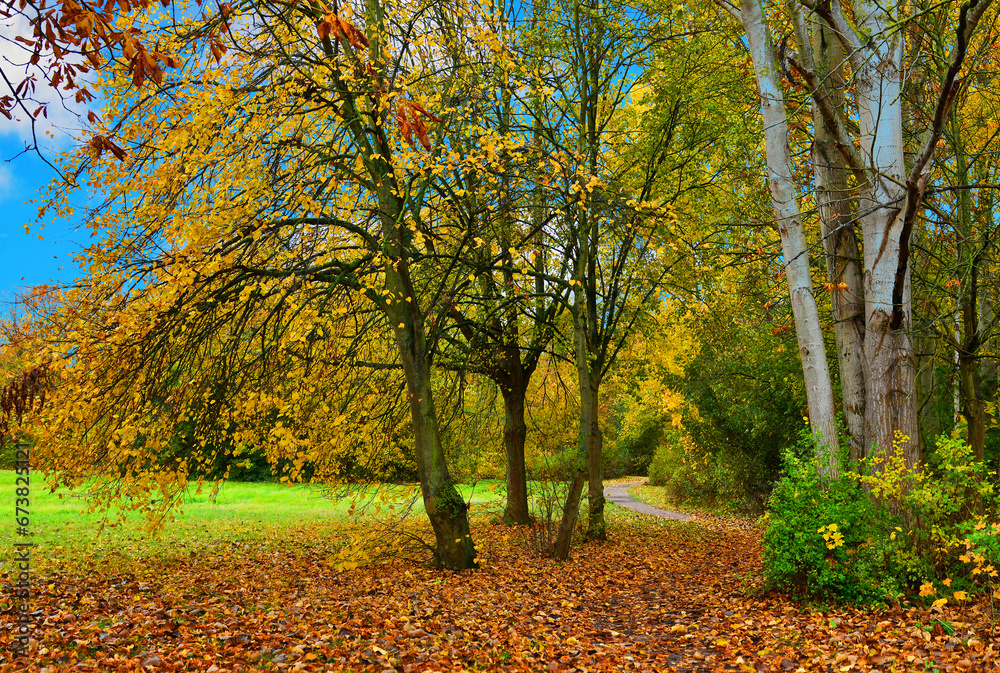 Autumn landscape. Pathway through the autumn park.	
