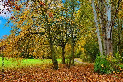 Autumn landscape. Pathway through the autumn park. 