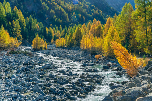 Goldener Oktober im Val Morteratsch, Pontresina, Engadin, Graubünden, Schweiz
 photo