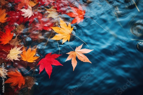 Close-up view of colorful Autumn tree leaves in water. Autumn seasonal concept.