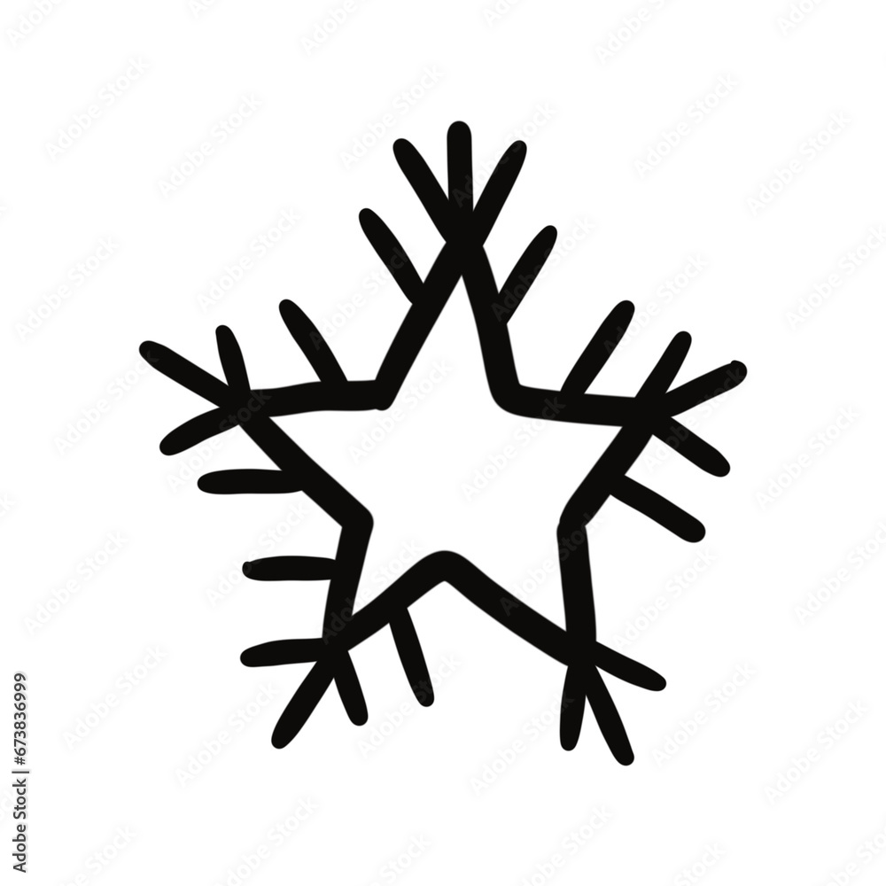 Fototapeta premium snow flake