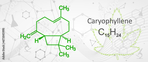 Caryophyllene molecule. It is natural bicyclic sesquiterpene that is a constituent of many essential oils. Structural chemical formula.