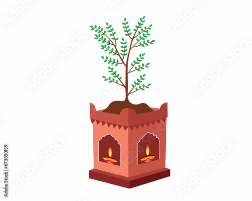 Tulsi plant for Shubh Tulsi Vivah Hindu Indian Festival means Wedding of Holy Basil Plant