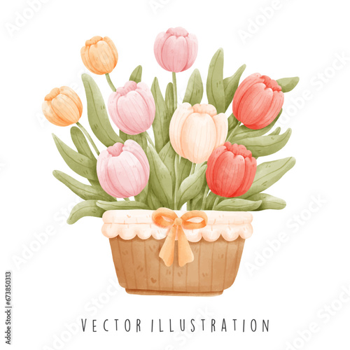 Holland symbol tulips in watercolor style. Vector illustration