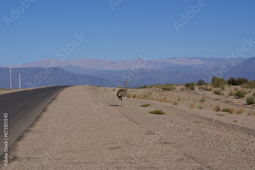 Route désert argentin