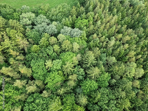 Wald aus der Vogelperspektive