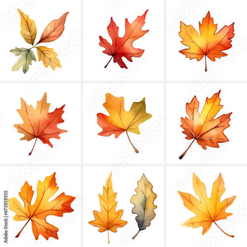 Set of beautiful colorful watercolor autumn leaves and thanksgiving leaves