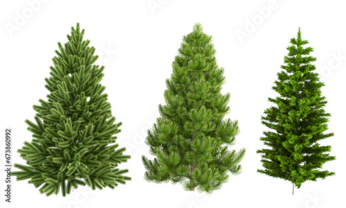 christmas tree isolated on white © Hanh
