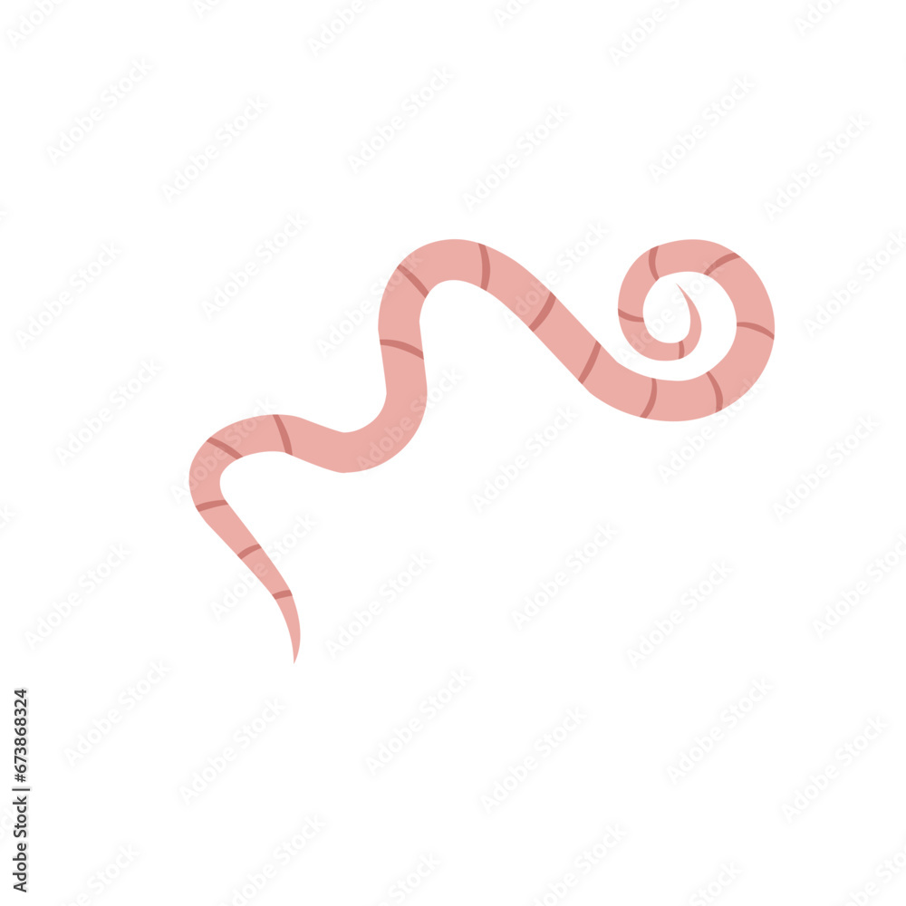 Pinworm Vector
Pinworm Vector