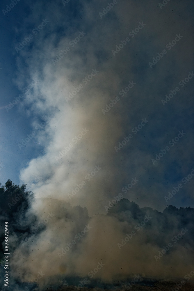 Obraz premium 畑を焼いてそこから出た灰を肥料にして畑を作るという、原始的な農業