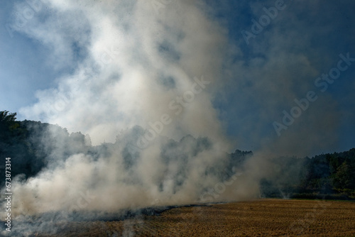 畑を焼いてそこから出た灰を肥料にして畑を作るという、原始的な農業 © Mi