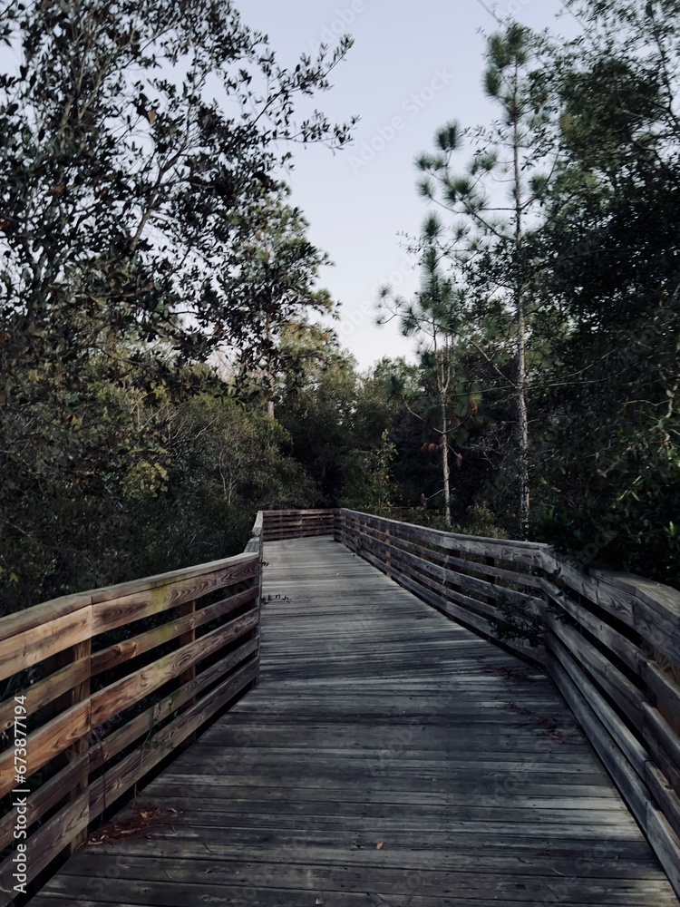 wooden bridge pathway in forest