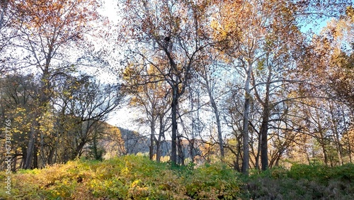 Natures beauty in landscapes in Autumn Fall colors in mountains, hills, valleys and lakeside in countryside in Pennsylvania