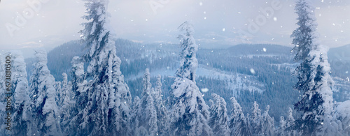 Tableau sur toile Blick vom Arber auf den Bayerischen Wald im Winter bei Schneefall, Bayern, Deuts