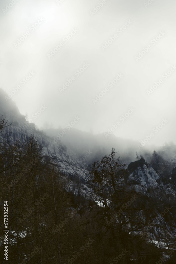 Foggy field silhouetted against a backdrop of snow-capped mountains in Berchtesgaden