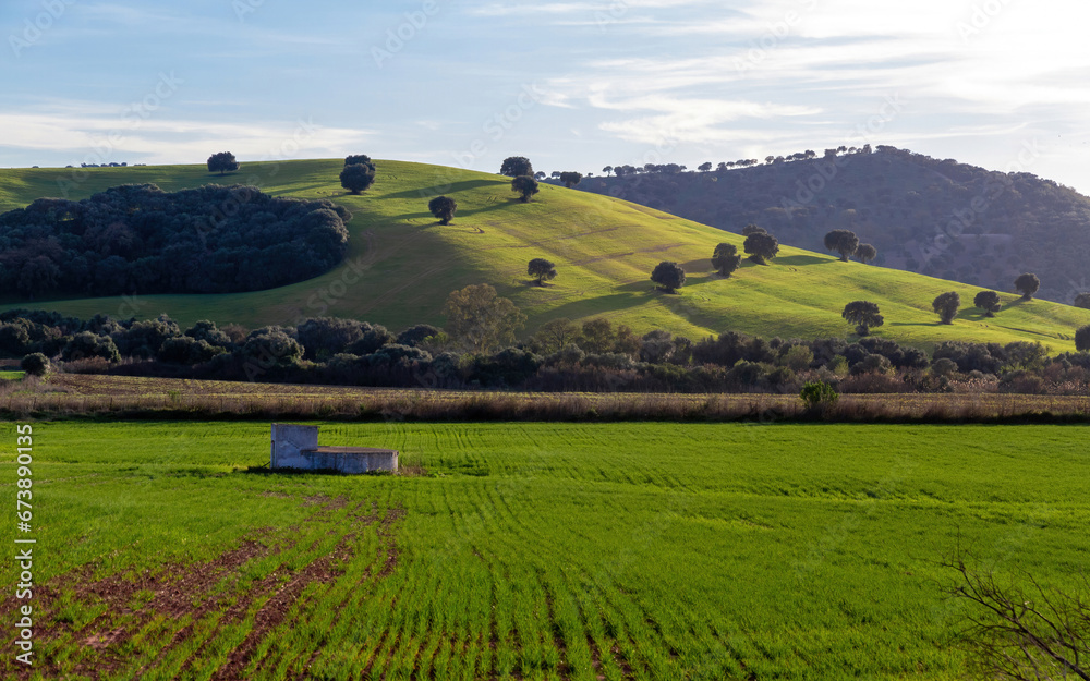  Bello paisaje de campos verdes  con cultivos y colinas con árboles dispersos, Andalucía