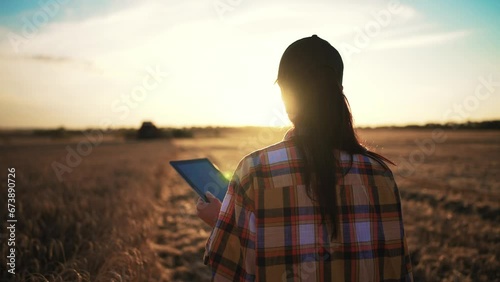 Agriculture.Farmer working on digital tablet in field.Combine harvesting on wheat field.Farmer agronomist checking harvest tablet computer. Business.Innovation agriculture.Food production,technology photo
