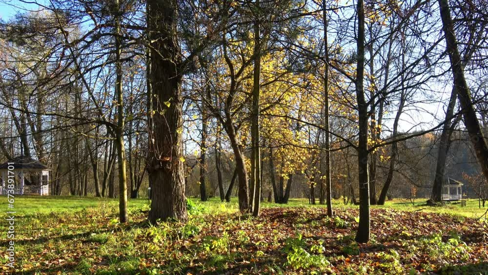 Sunny day in late autumn Sunny day in late autumn