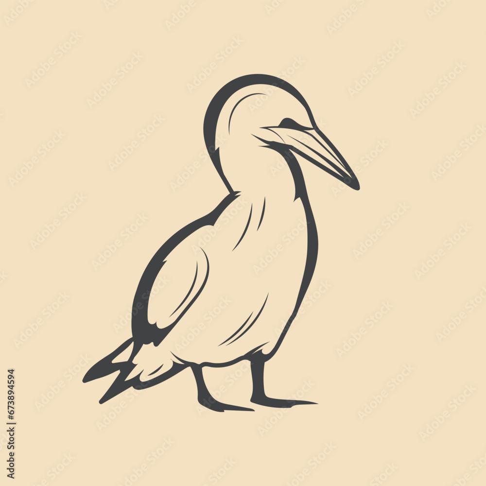 Fototapeta premium Retro gannetl Bird vector Stock Illustration