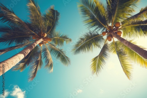 Blue sky and palm trees view from below  vintage style  tropical beach and summer background  travel concept.