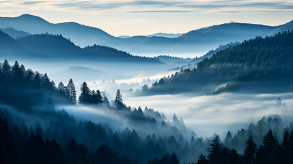 Tableau sur plexiglas  A photo of the Black Forest, with misty atmosphere as the background, during a foggy morning  © VirtualCreatures