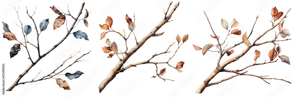 Collection of watercolor tree branches without leaves. Tree without leaves silhouette. For wedding Invitation, greeting card, save the date. Isolated on transparent background. Generative AI Collection of watercolor tree branches without leaves. Tree without leaves silhouette. For wedding Invitation, greeting card, save the date. Isolated on transparent background. Generative AI
