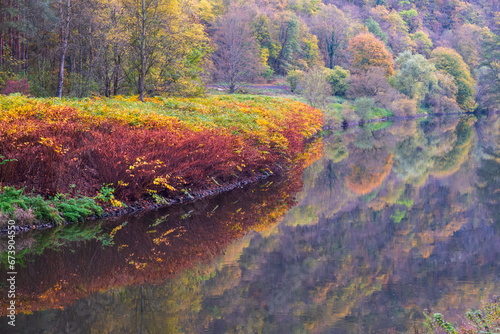 Reflection of the autumn-colored bushes on the banks of the Lahn near Laurenburg/Germany photo