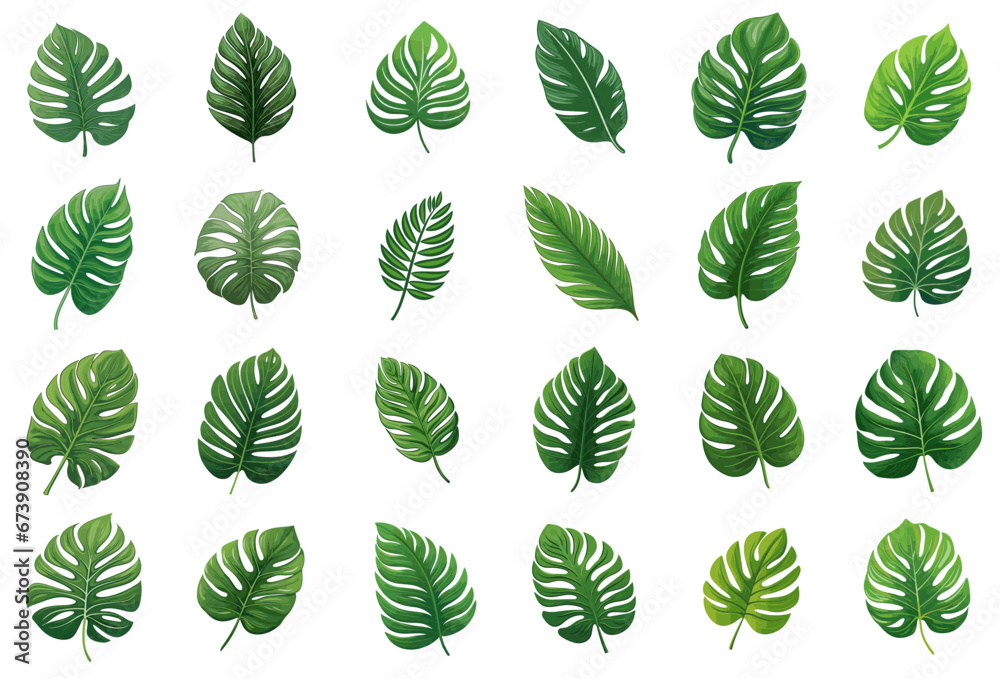 set of green tropical leaves - obrazy, fototapety, plakaty 