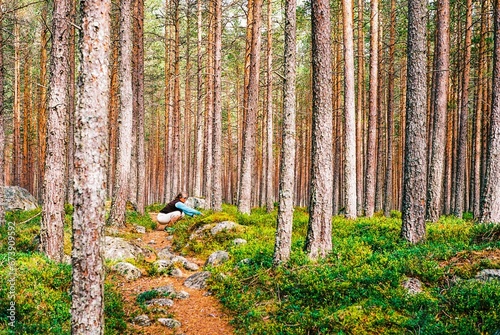 A woman picking blueberries in a magical forest in Norway, Scandinavia