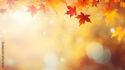 autumn background with maple leaves with soft focus light and bokeh background