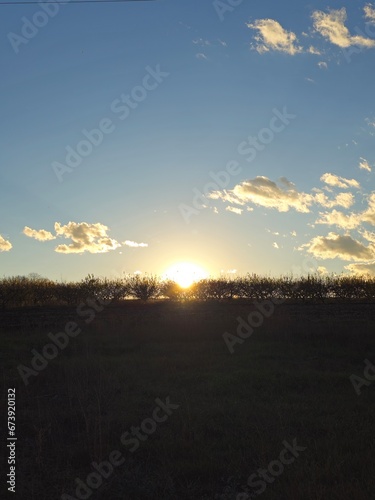 A field with a sunset