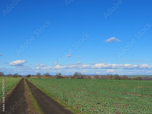 A long straight road leading to a field with trees and blue sky