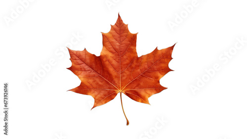 Rustic Brown Maple Leaf Isolated on Transparent Background