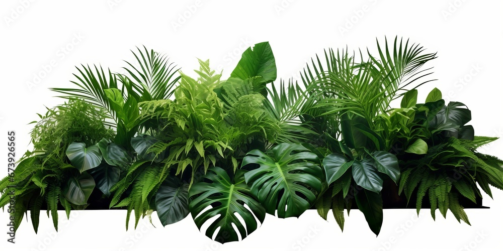 Green leaves of tropical plants bush (Monstera, palm, rubber plant, pine, bird’s nest fern) floral arrangement indoors garden nature backdrop isolated, Generative AI - obrazy, fototapety, plakaty 
