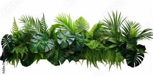 Green leaves of tropical plants bush (Monstera, palm, rubber plant, pine, bird’s nest fern) floral arrangement indoors garden nature backdrop isolated, Generative AI photo