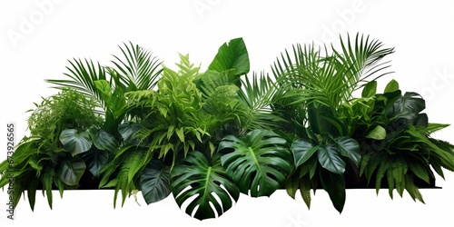 Green leaves of tropical plants bush (Monstera, palm, rubber plant, pine, bird’s nest fern) floral arrangement indoors garden nature backdrop isolated, Generative AI