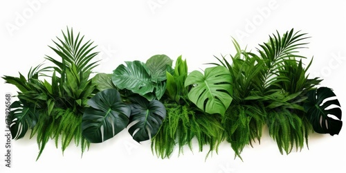 Green leaves of tropical plants bush (Monstera, palm, rubber plant, pine, bird’s nest fern) floral arrangement indoors garden nature backdrop isolated, Generative AI