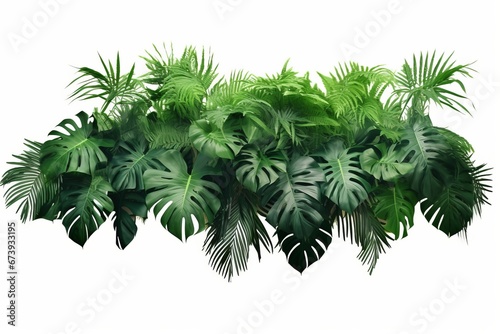 Tropical leaves foliage plant jungle bush floral arrangement nature backdrop isolated on white background, clipping path included, Generative AI