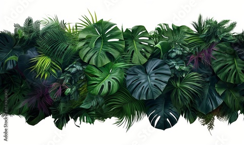 Tropical leaves foliage plants bush floral arrangement nature backdrop on white background  Generative AI