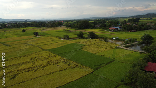 Corn Garden and Paddy field and Hut in Pong Distric Phayao Province,Northern of Thailand, Relaxing Vacation on Winter Season November 2023
