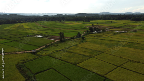 Corn Garden and Paddy field and Hut in Pong Distric Phayao Province,Northern of Thailand, Relaxing Vacation on Winter Season November 2023