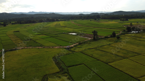 Corn Garden and Paddy field and Hut in Pong Distric Phayao Province,Northern of Thailand, Relaxing Vacation on Winter Season November 2023