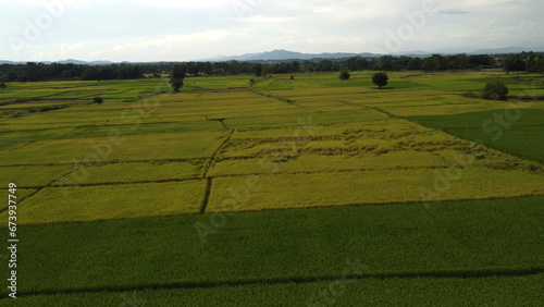 Corn Garden and Paddy field and Hut in Pong Distric Phayao Province,Northern of Thailand, Relaxing Vacation on Winter Season November 2023