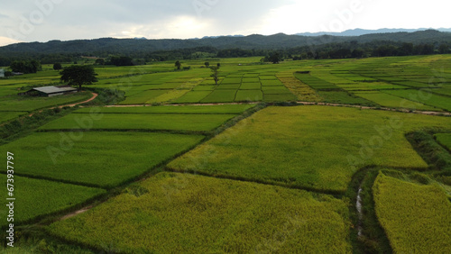Corn Garden and Paddy field and Hut in Pong Distric Phayao Province,Northern of Thailand, Relaxing Vacation on Winter Season November 2023