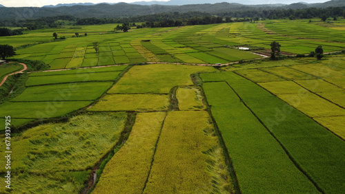 Corn Garden and Paddy field and Hut in Pong Distric Phayao Province,Northern of Thailand, Relaxing Vacation on Winter Season November 2023