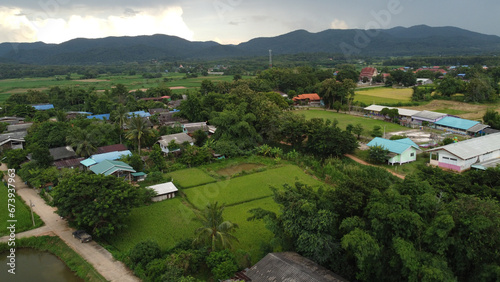 Corn Garden and Paddy field and Hut in Pong Distric Phayao Province,Northern of Thailand, Relaxing Vacation on Winter Season November 2023