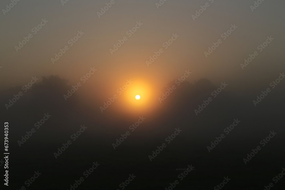 Obraz premium Landschaftsaufnahme bei Sonnenaufgang und Nebel in Norddeutschland