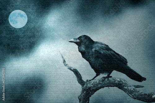 beautiful raven Corvus corax sitting on the branch North Poland Europe, old vintage filters - halloween