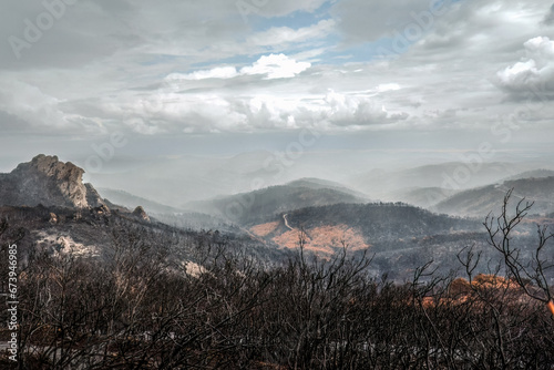 Dadia forest Restoration and Regrowth After Wildfire Evros Greece, mount Parnitha, Rodopi, Euboea Island, Evia, British Columbia, Canada, Amazon photo